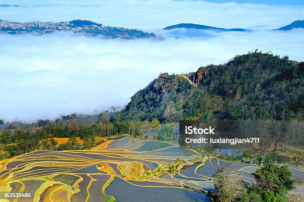 Terraces E Nuvens - Fotografias de stock e mais imagens de Agricultura - Agricultura, Aldeia, Ao Ar Livre