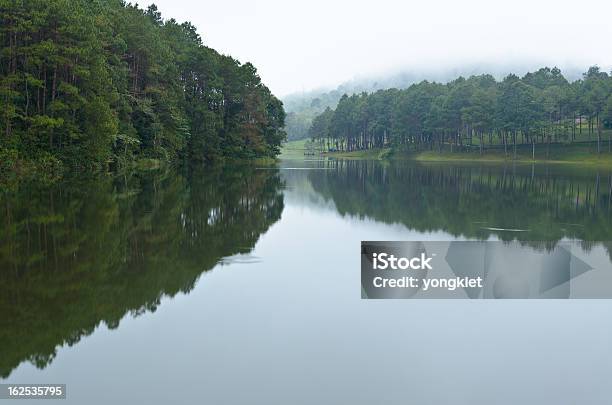 ホウウン仏教美しい森湖の朝 - Pang Ungのストックフォトや画像を多数ご用意 - Pang Ung, かすみ, ウォーターフロント