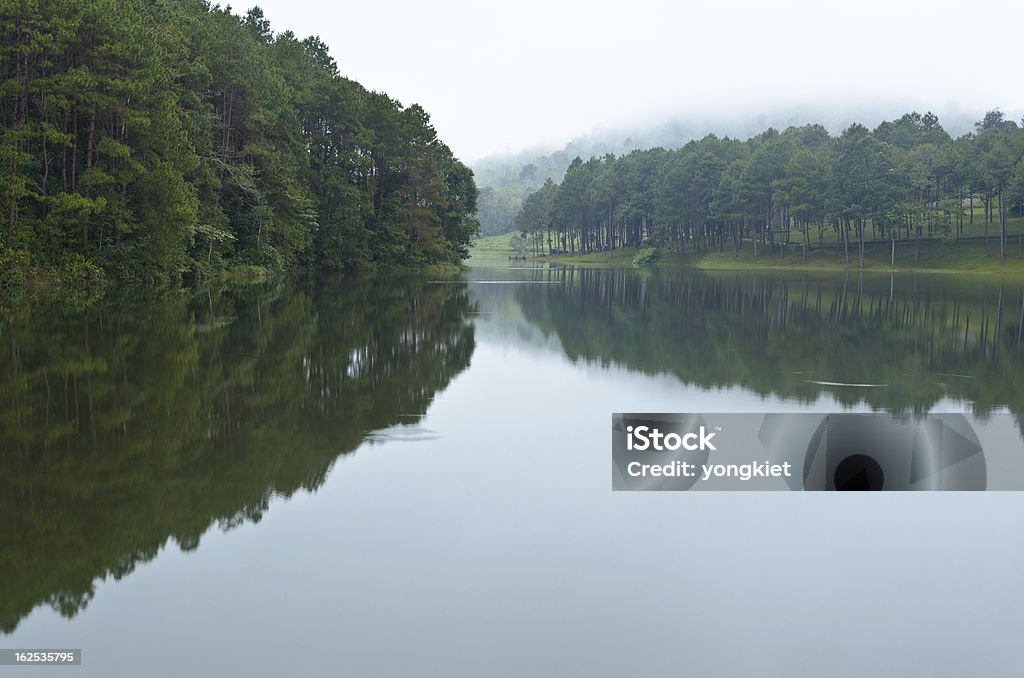 Pang Ung, belo Lago de floresta de manhã - Royalty-free Amanhecer Foto de stock