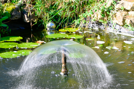A garden pond water fountain cascading out of the central water fountain shot at a slow shutter speed with the backdrop of  water lily pad leaves