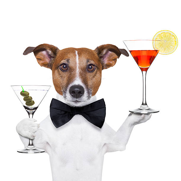 istock cocktail dog martini glasses 162536309