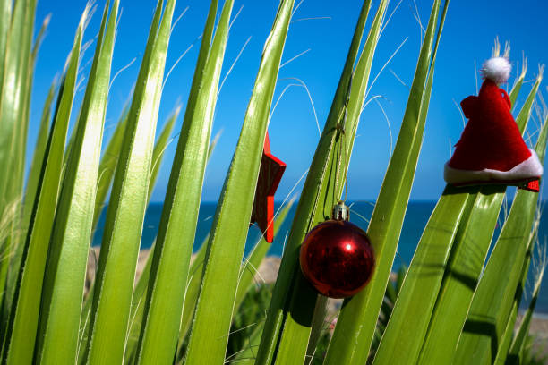 New Year ornaments on palm tree. Tropical festivity concept
