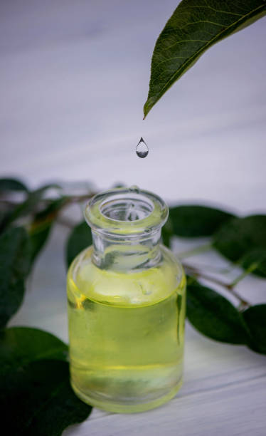 istock herbal essential oil in a small bottle. Selective focus. 1625399408