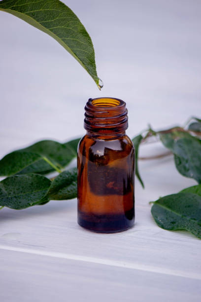 istock herbal essential oil in a small bottle. Selective focus. 1625399423