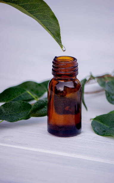 istock herbal essential oil in a small bottle. Selective focus. 1625399428