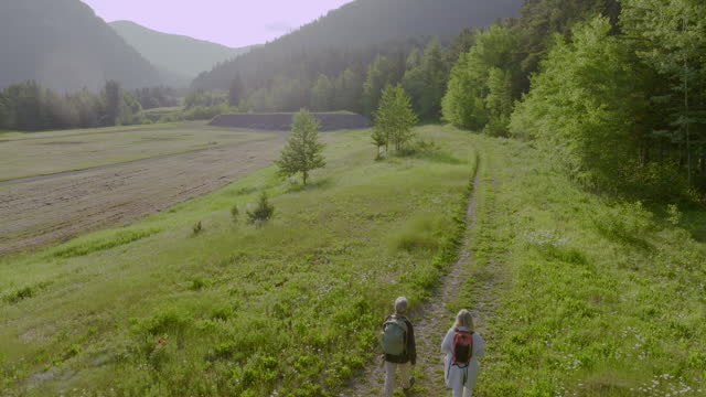 Aerial perspective of mature couple walking through field
