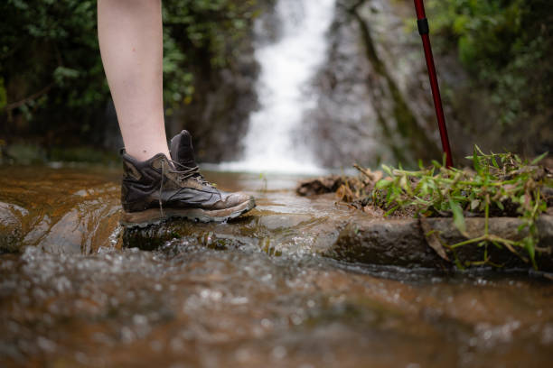 Walking in the water