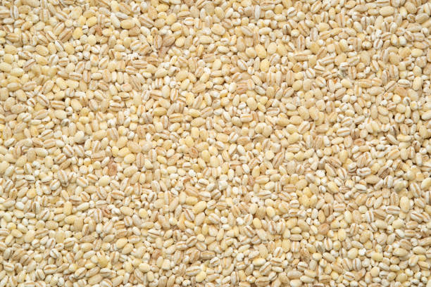istock Pearl barley grain seeds texture background 1625431620