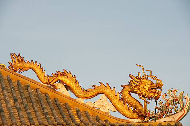 Gold Dragon stock photo