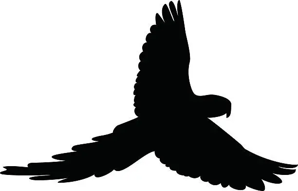 Vector illustration of bird silhouete