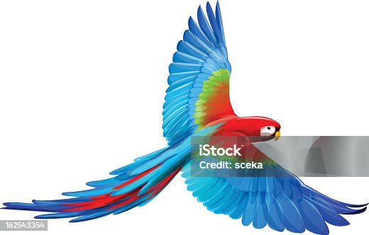 istock A cartoon Macaw with its wings spread out 162543354