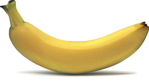 Vector illustration of banana