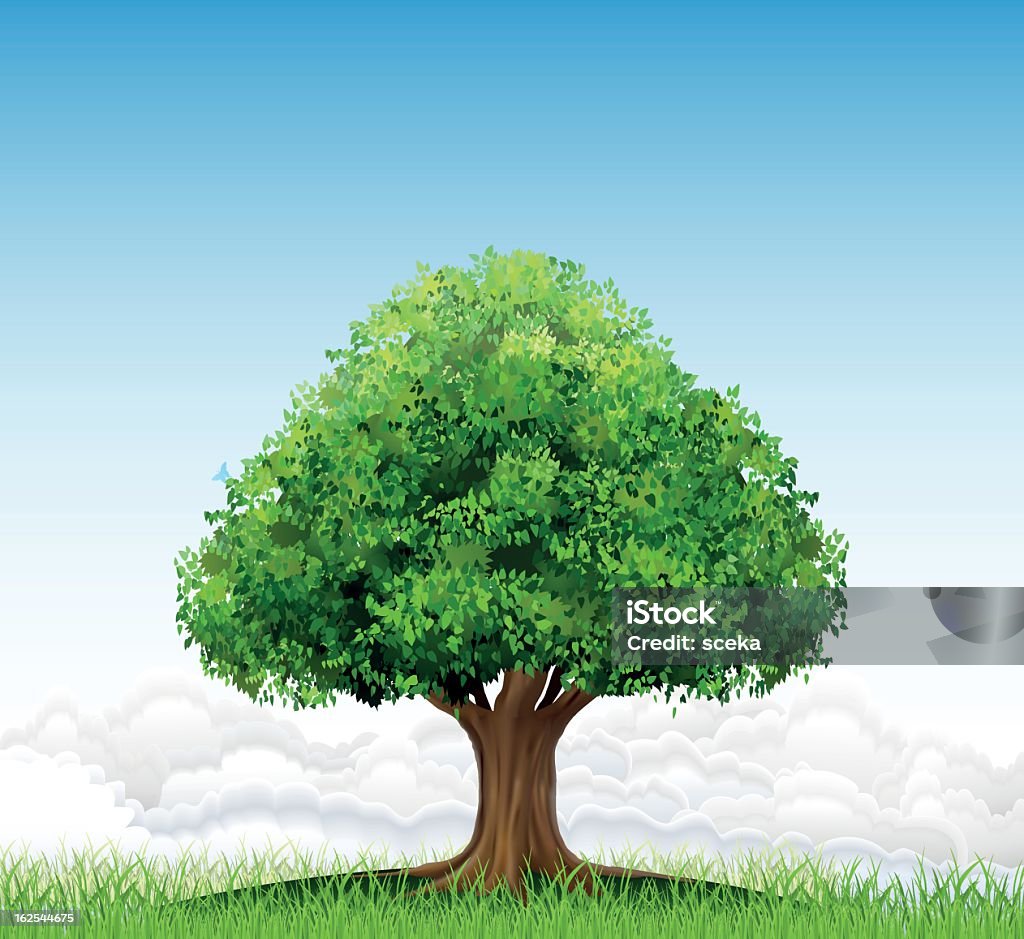 Drawing Of Single Tree On Grass In Front Of Blue Sky Stock ...