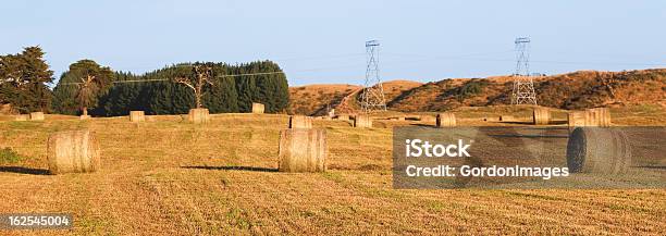 Zwinięty - zdjęcia stockowe i więcej obrazów Fotografika - Fotografika, Horyzontalny, Jedzenie