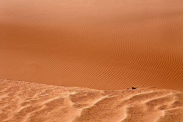 Red sandy dunes stock photo