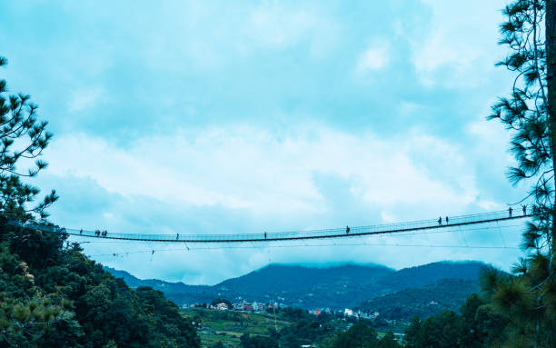 istock Landscape view of Suspension bridge and greenery fores 1625498797