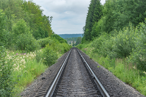 Railway track in the forest.