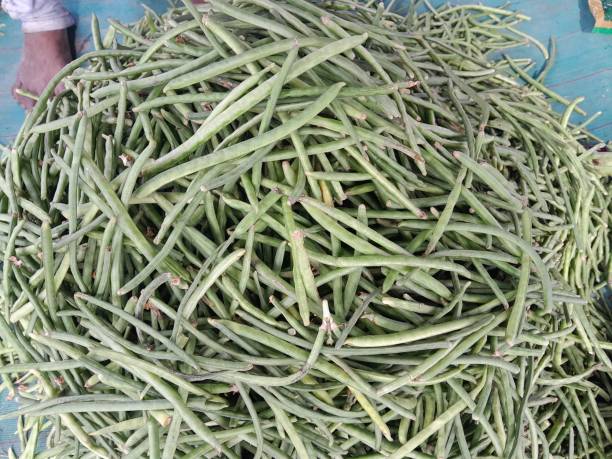 istock Indian vegetable food 1625516761