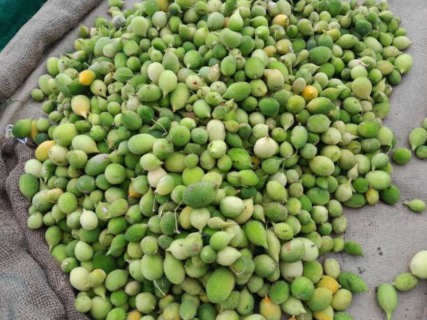 istock Indian vegetable food 1625518833