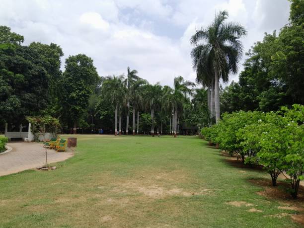 istock Park and garden 1625541543