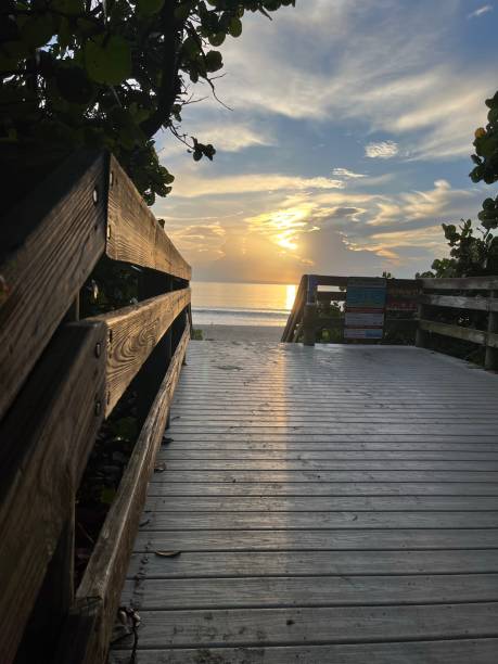 istock August 19, 2023 Spessard Holland Beach, FL 1625570797