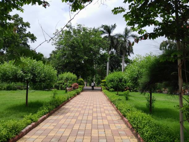 istock Park and garden 1625579756