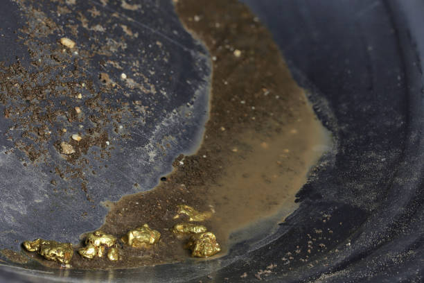 istock gold nuggets in a metal gold pan 1625580853