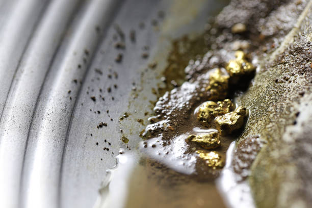 istock gold nuggets in a metal gold pan 1625585561