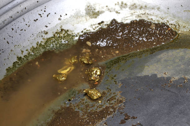 istock gold nuggets in a metal gold pan 1625585562