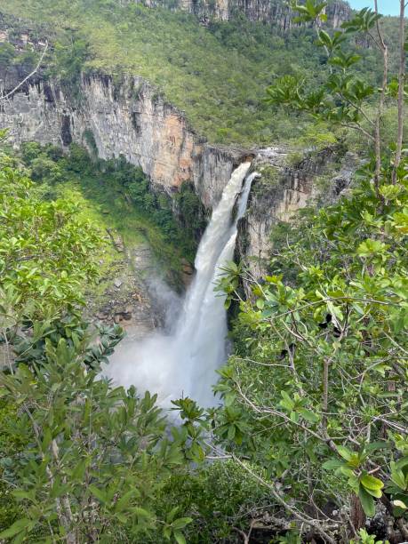 istock Waterfall in a Canyon in the cerrado forest 1625631671