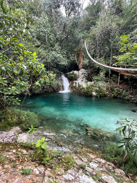 istock Waterfall in the cerrado forest 1625631672