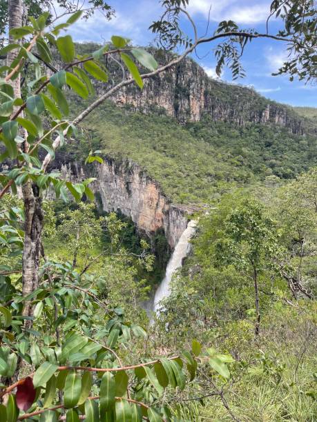 istock Waterfall in a Canyon in the cerrado forest 1625631697