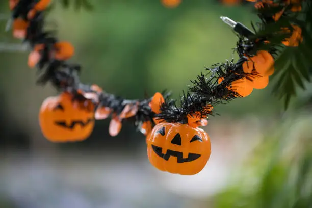 Photo of Small pumpkin doll hang on tree. Halloween decoration