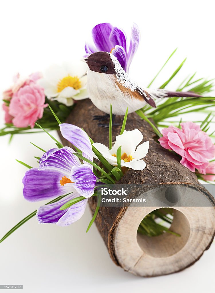 Frühling Blumen und Vogel - Lizenzfrei Blume Stock-Foto