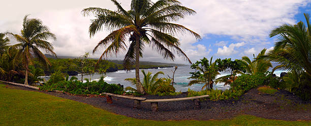 hana kahanu сад, гавайи - beach bench caribbean sea cloudscape стоковые фото и изображения