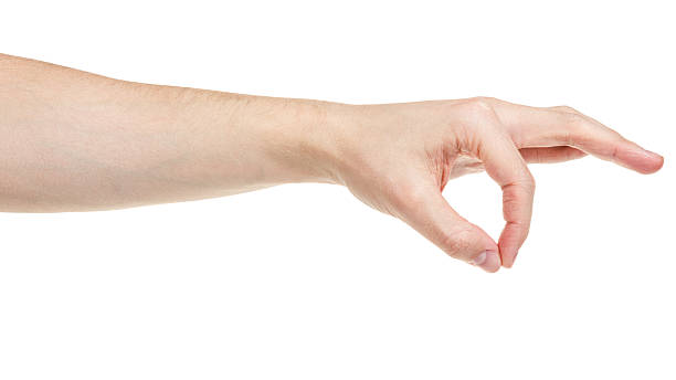istock adult man hand holding something 162573331