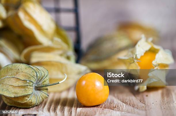 Physalis Stock Photo - Download Image Now - Backgrounds, Berry, Extreme Close-Up