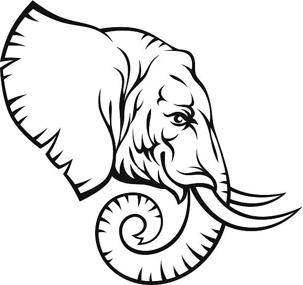 elephant head - elephant head stock-grafiken, -clipart, -cartoons und -symbole