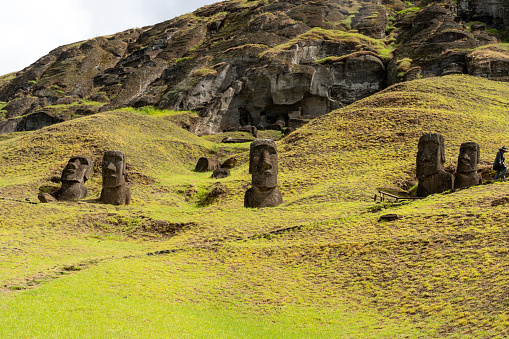 Moai heads on the slope of Rano Raraku on Easter Island (Rapa Nui),  Chile. Raraku is commonly known as the “Moai Factory”.