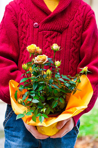 Junge, schöne Rosa Blumen halten – Foto
