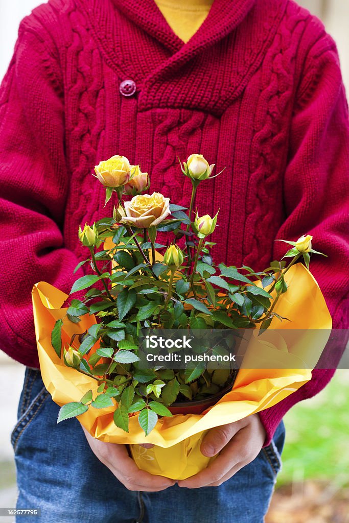Ragazzo con fiori rosa in vaso - Foto stock royalty-free di Rosa - Fiore