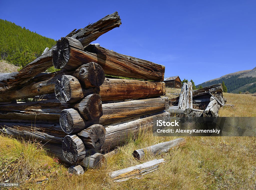 miners casa nella città fantasma Colorado - Foto stock royalty-free di Albero