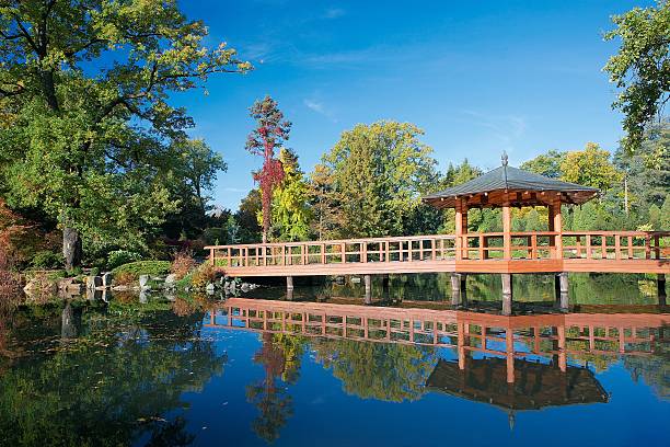 istock Japanese Garden in Wroclaw 162578807