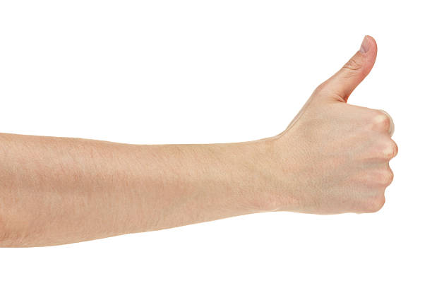 istock adult man hand thumb up 162579012