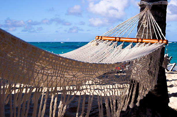 istock Hammock at the tropical Caribbean beach 162580630