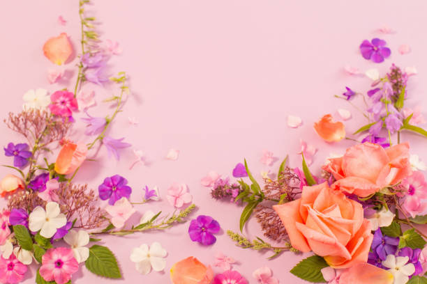 istock pattern of summer flowers on color paper background 1625806892