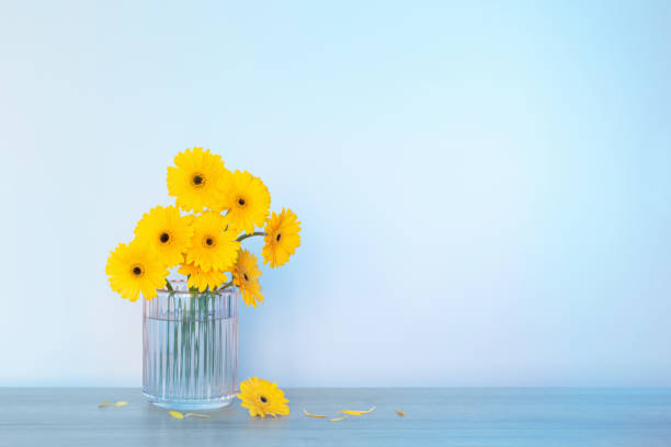 istock yellow gerbera in glass vase on wooden table on background wall 1625806901