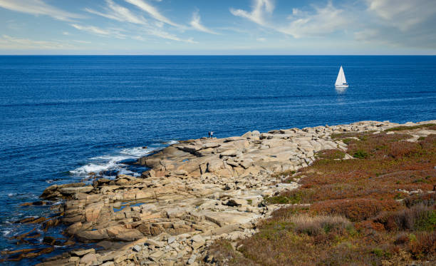 calm water and sailboat off of rocky coastline at halibut point, rockport massachusetts - massachusetts bay imagens e fotografias de stock