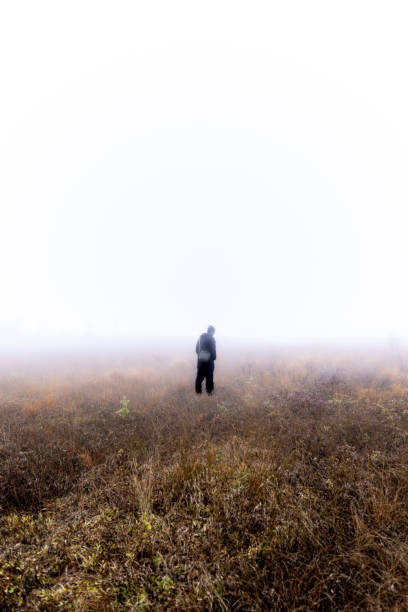 istock Autumn and fog 1625832782