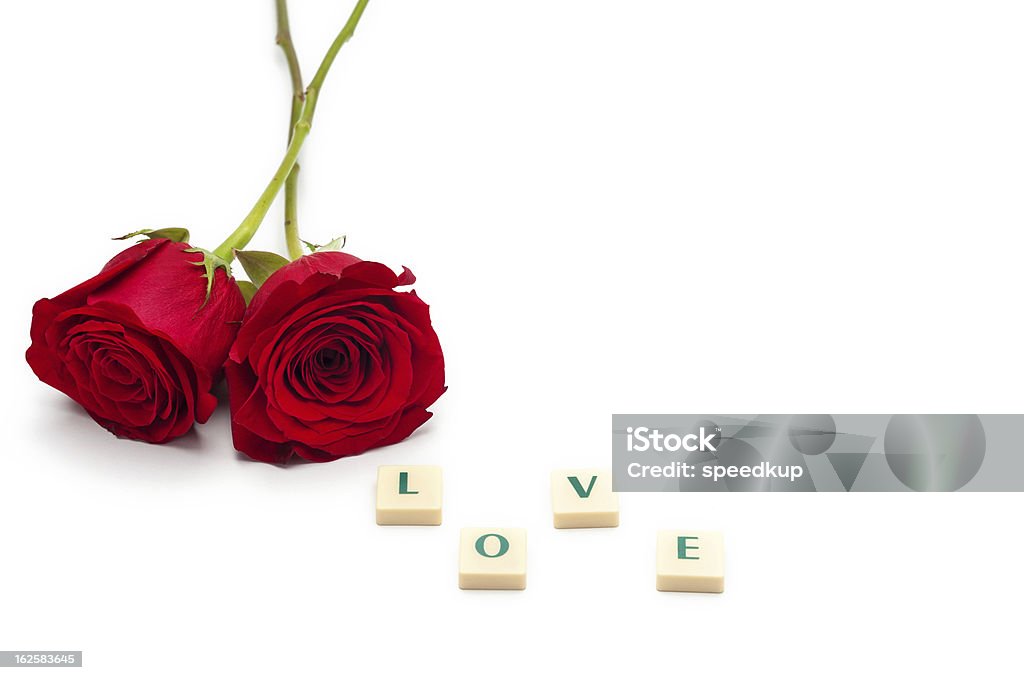 Rosa vermelha isolado em fundo branco - Royalty-free Amor Foto de stock
